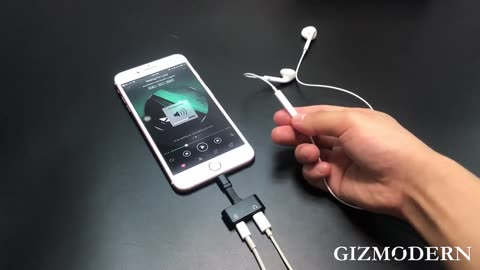 Dual-port Fast-charge Lightning Adapter - Life with One Port Is Not That Easy