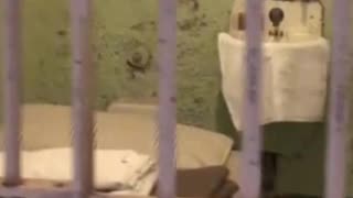Prisoner Exposes Shocking Court Conspiracy! (They Tried to Trick Me)