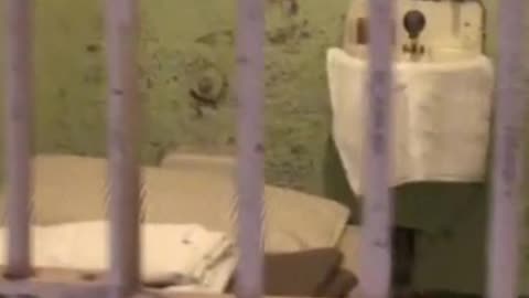 Prisoner Exposes Shocking Court Conspiracy! (They Tried to Trick Me)
