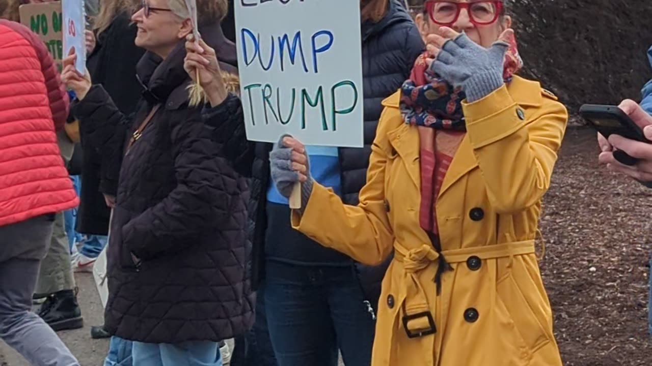 Stamford Tesla Protest