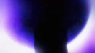 Dream Ivory Solar Eclipse Foliage(2025)