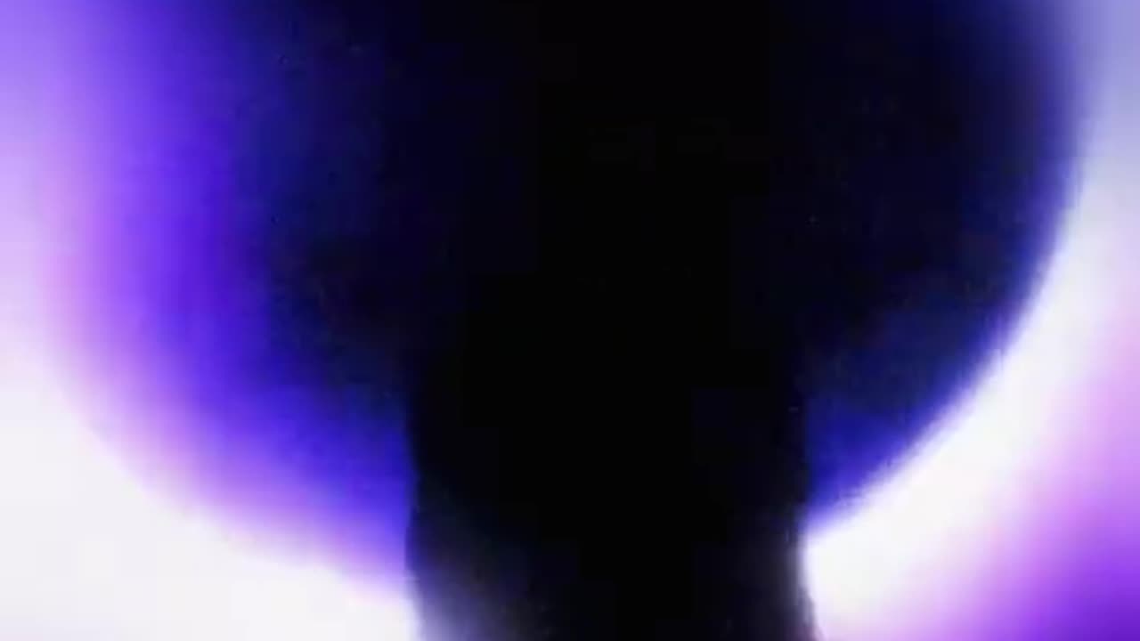 Dream Ivory Solar Eclipse Foliage(2025)