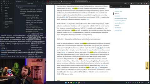 [Mirror] Destiny YouTube Stream