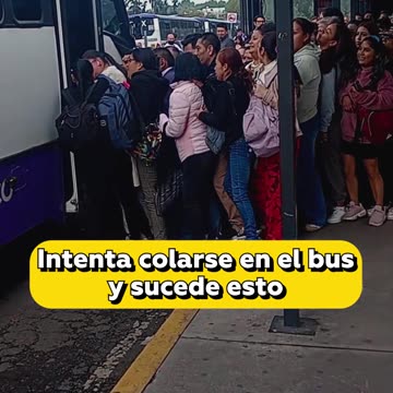 Mujer intenta colarse en el bus y desata el caos