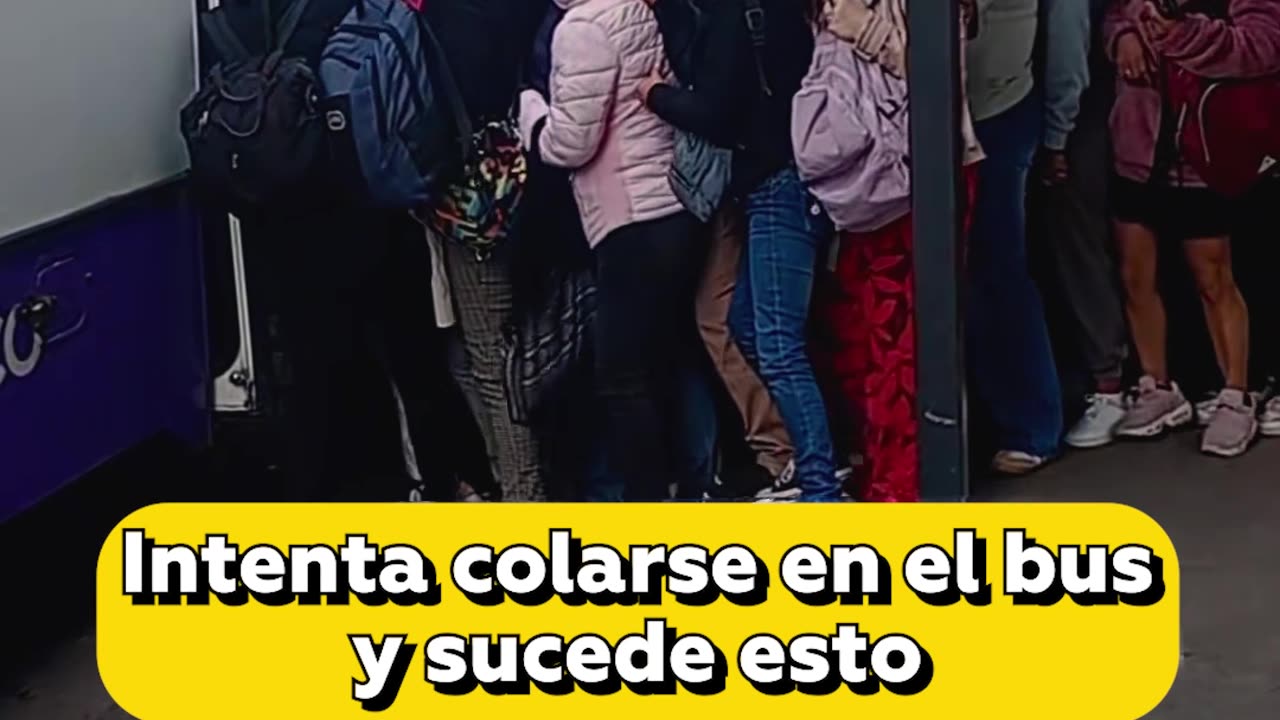 Mujer intenta colarse en el bus y desata el caos