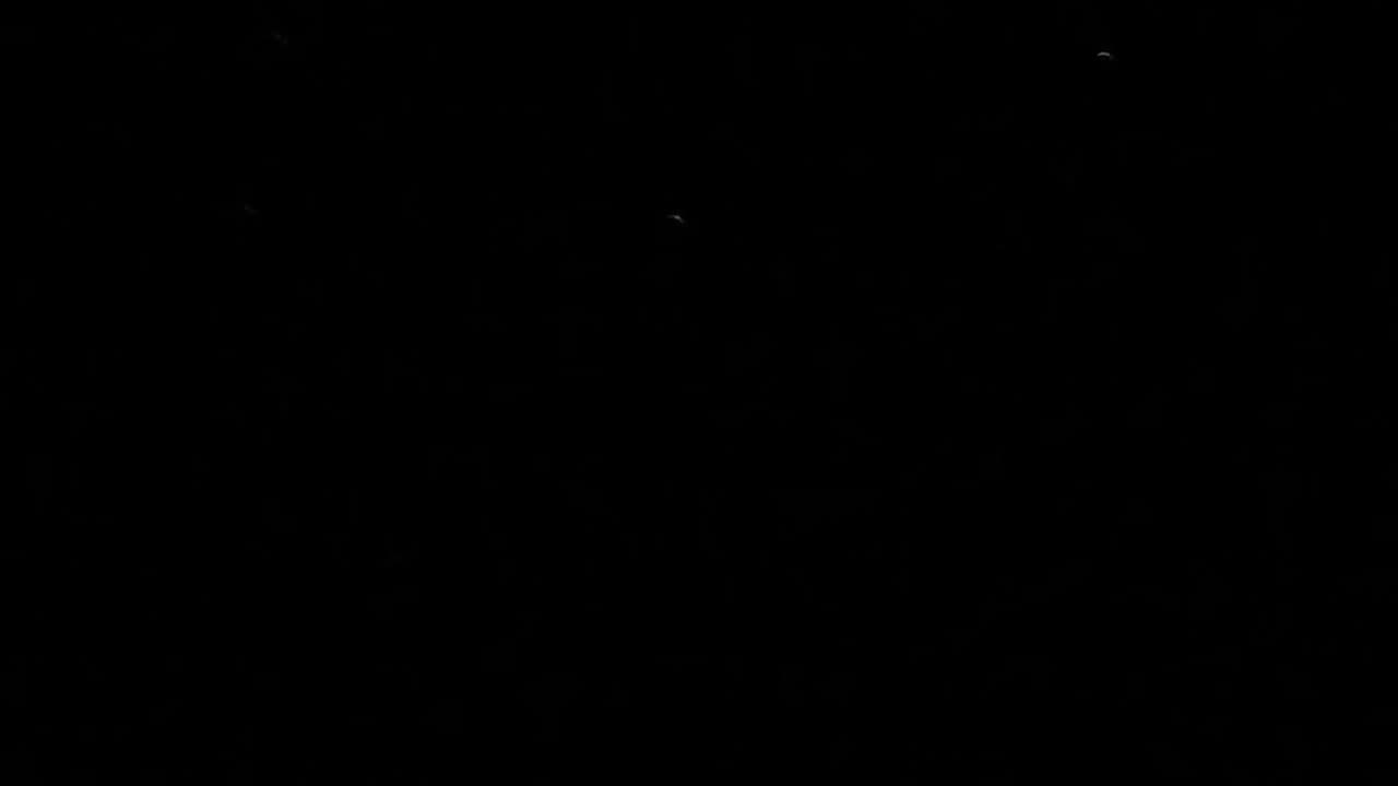 UAP number 4 Nov. 12 2025