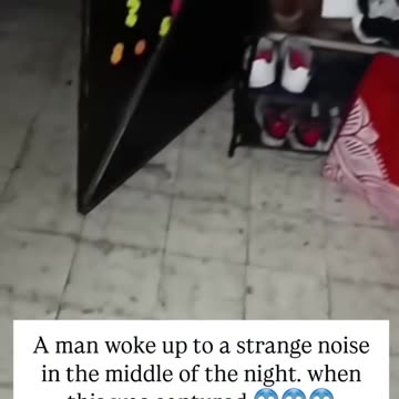 A man kept hearing strange noises late at night.