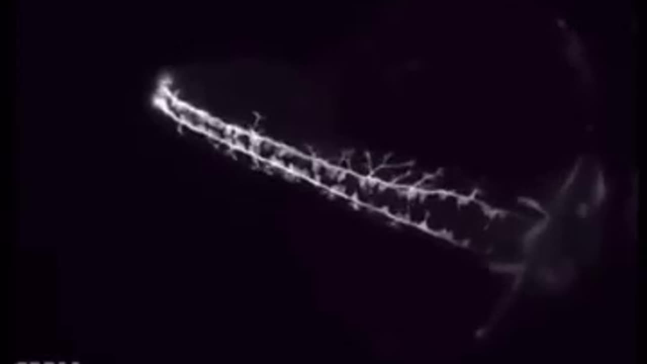 Revival of Wisdom | Book Of Wisdom (Part 7) (Dutch/NL Subs)