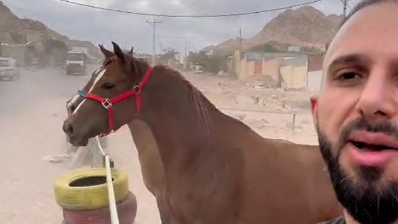 غيرة العنود من سنبل