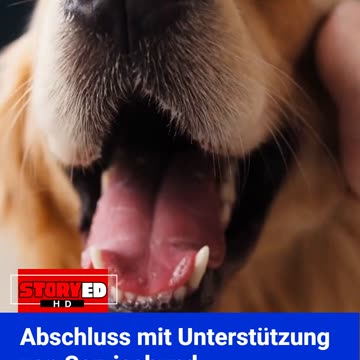 GOOD NEWS - Cecilia Hernandez – Abschluss- und Diensthund Canela #news #goodnews #tiere #hund