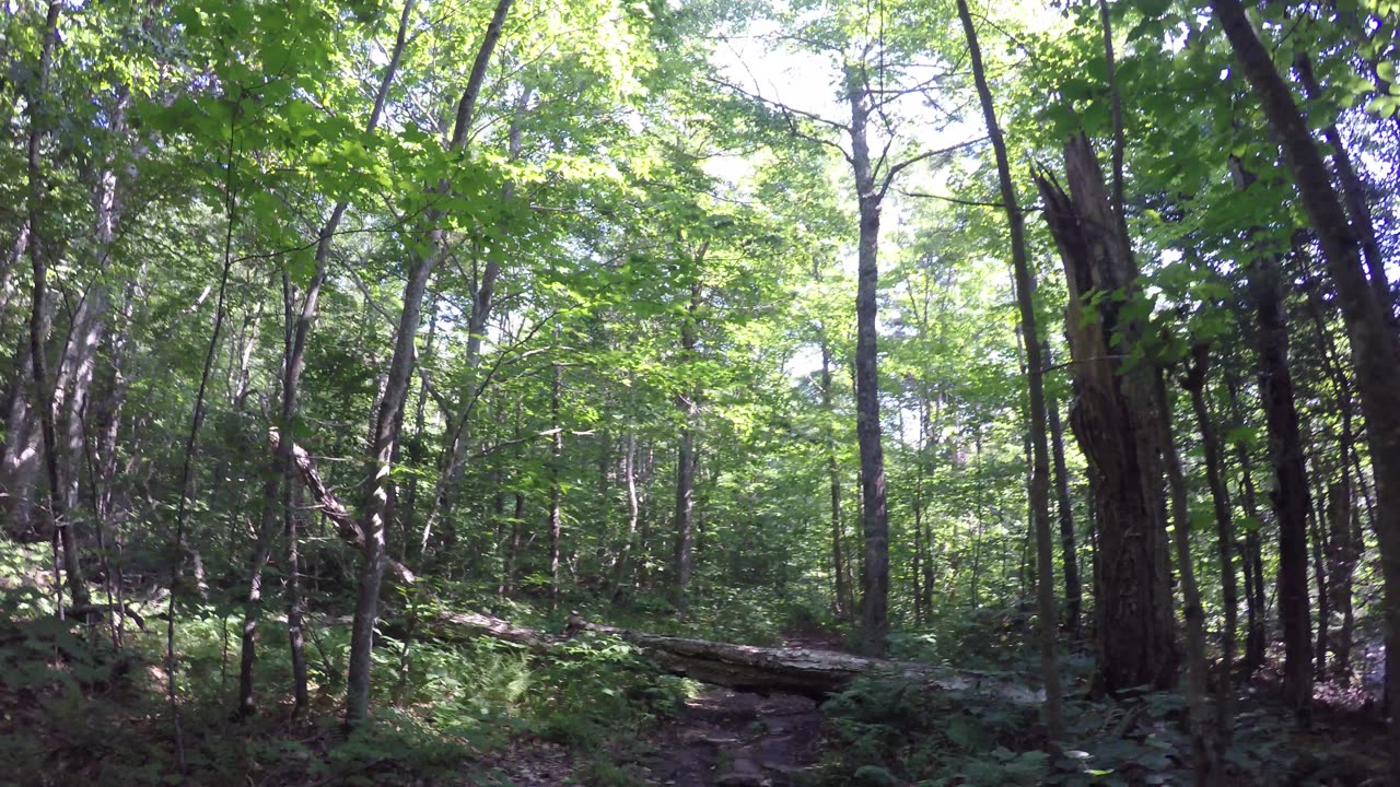 June 8, 2023, More walking around on the Long Trail in Vermont