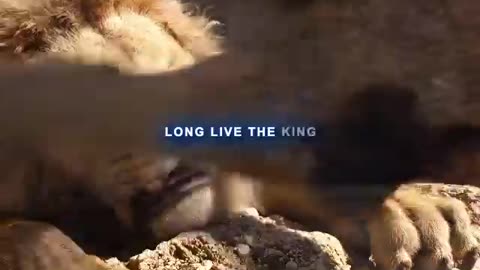 "The saddest Scene ever" The Lion King Edit #shorts #edit