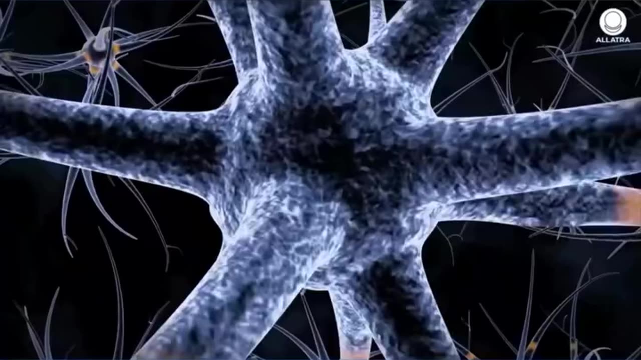 Nanoplastics. Threat to Life