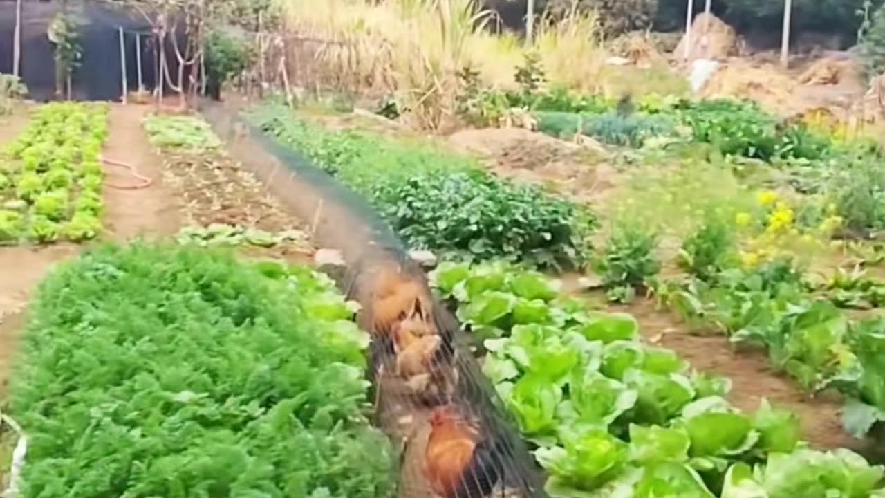 💡👍 Nice Idea: The Ultimate Life Hack For Time Savers! | LifeHacksDaily