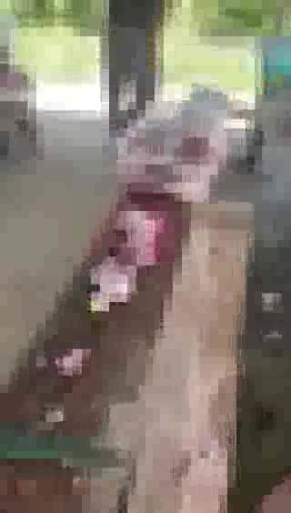 Brutal maltrato contra un perro