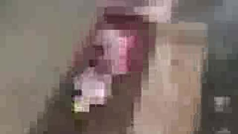 Brutal maltrato contra un perro