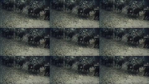 48 - Threads of the Void - WW1 Inspired Trench Music - Colourized Footage