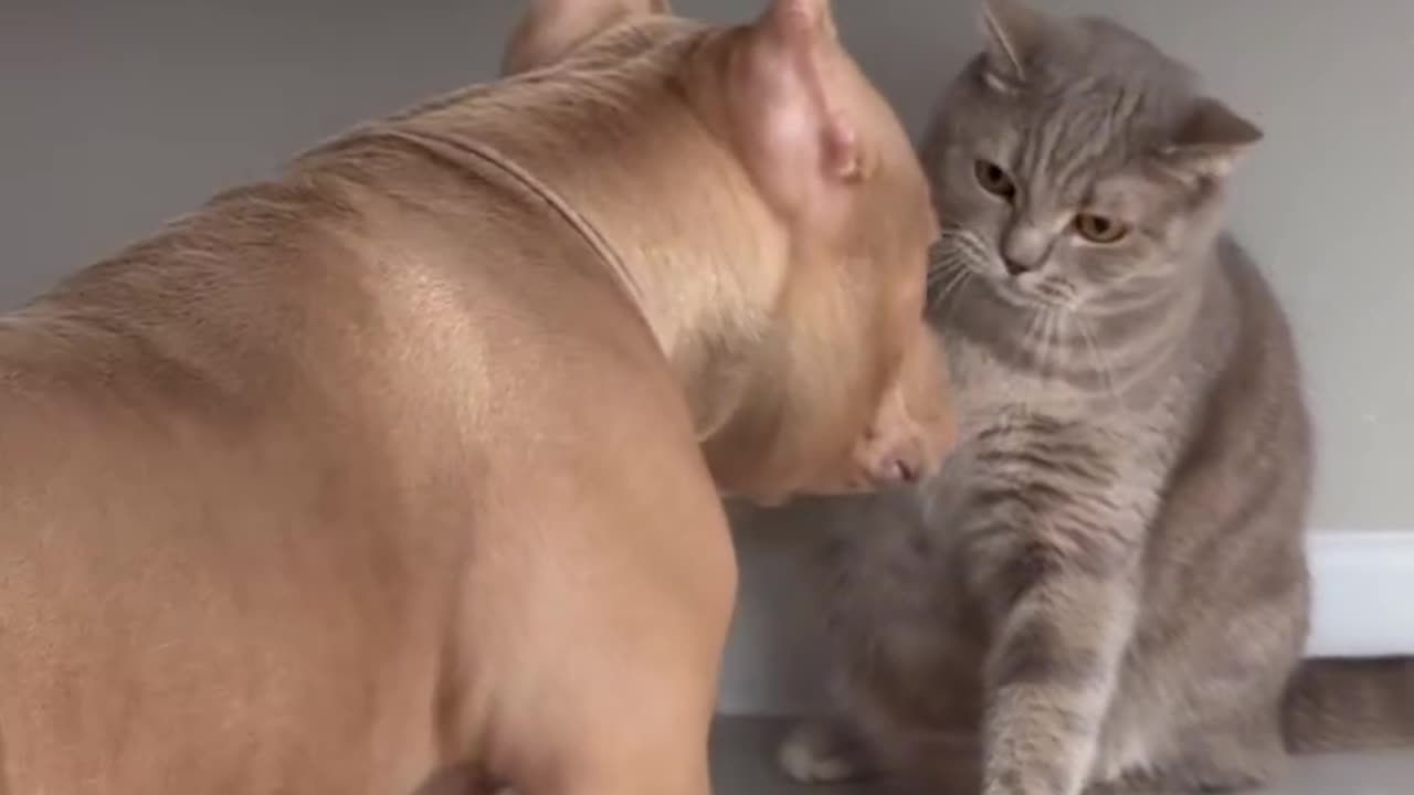 best of friends