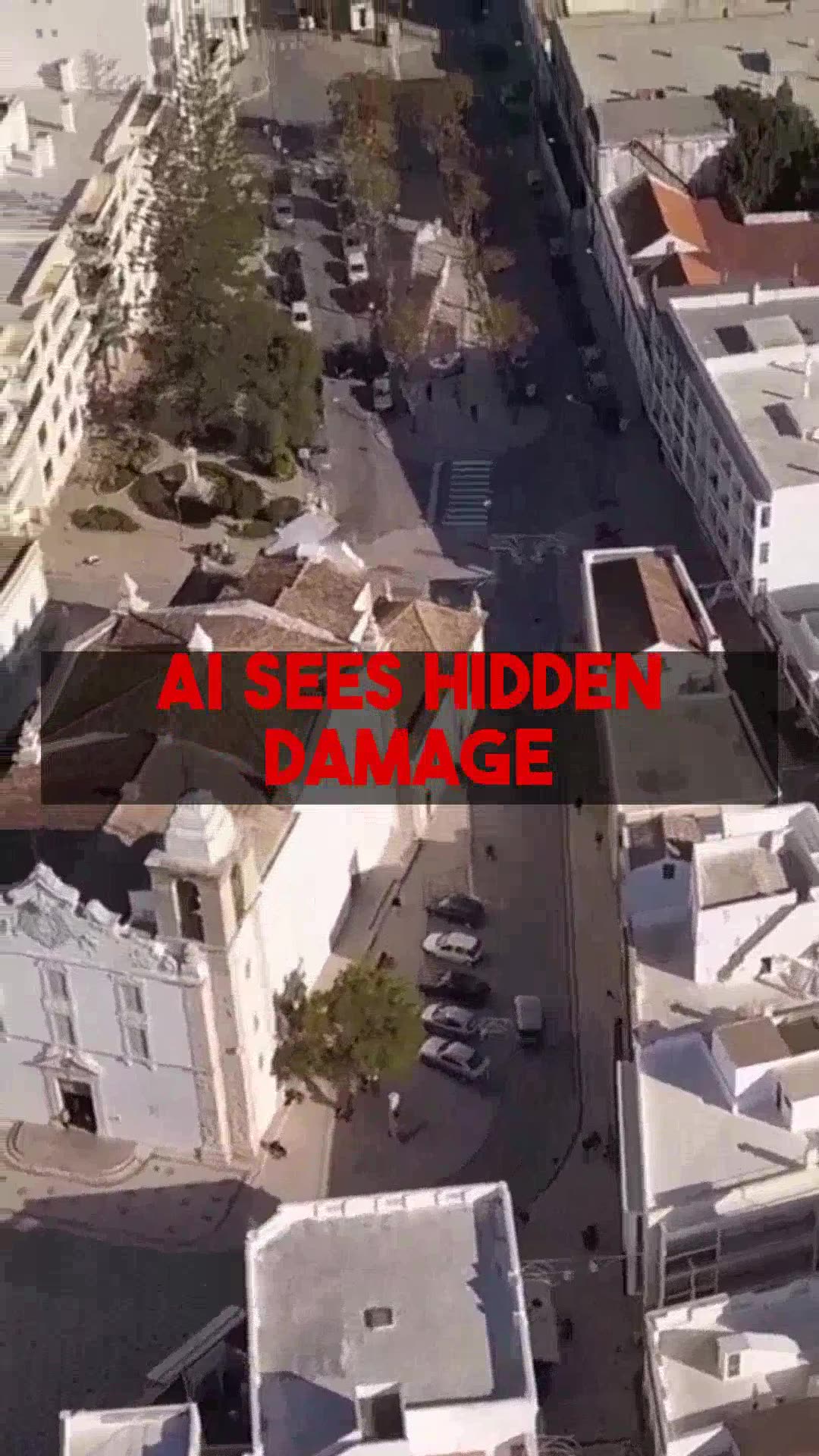 Examining AI in San Diego Queen Anne Conversions