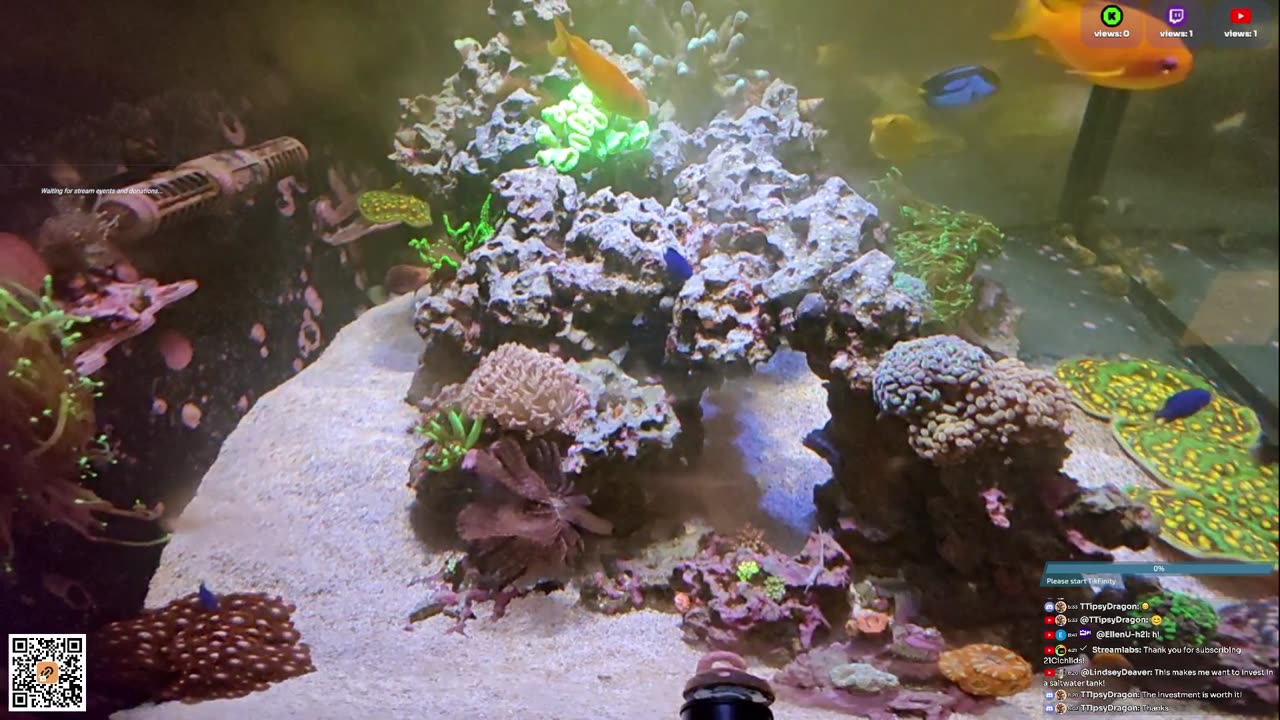 24/7 Real Live Reef Stream