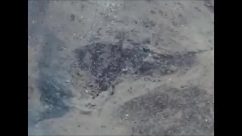 911 by the order which Dr. Day referred to during his 1969 confe