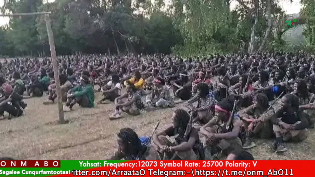 Gabaasa Tarkaanfii ONM-ABO Caamsaa 11-2025 itti dhiyaadhaa!