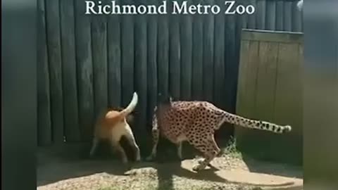 😍❤️ The Most Romantic Moment Caught on Camera! | FunFM