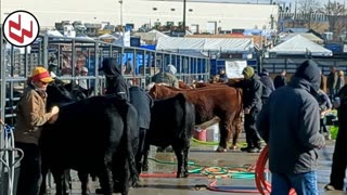 Trent Loos in the Morning - 12/05/2025