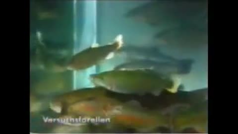 Der Urzeitcode - Revolutionäre Entdeckung