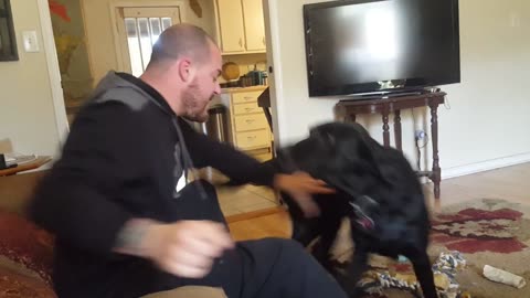 Play Fight, No Bite