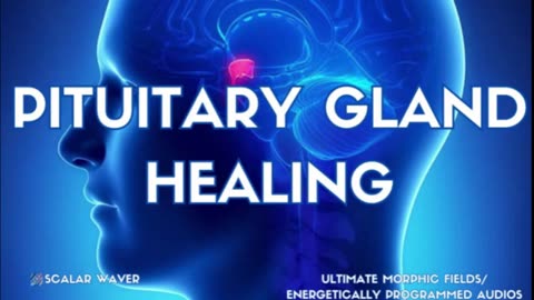 Pituitary Gland Healing +33X