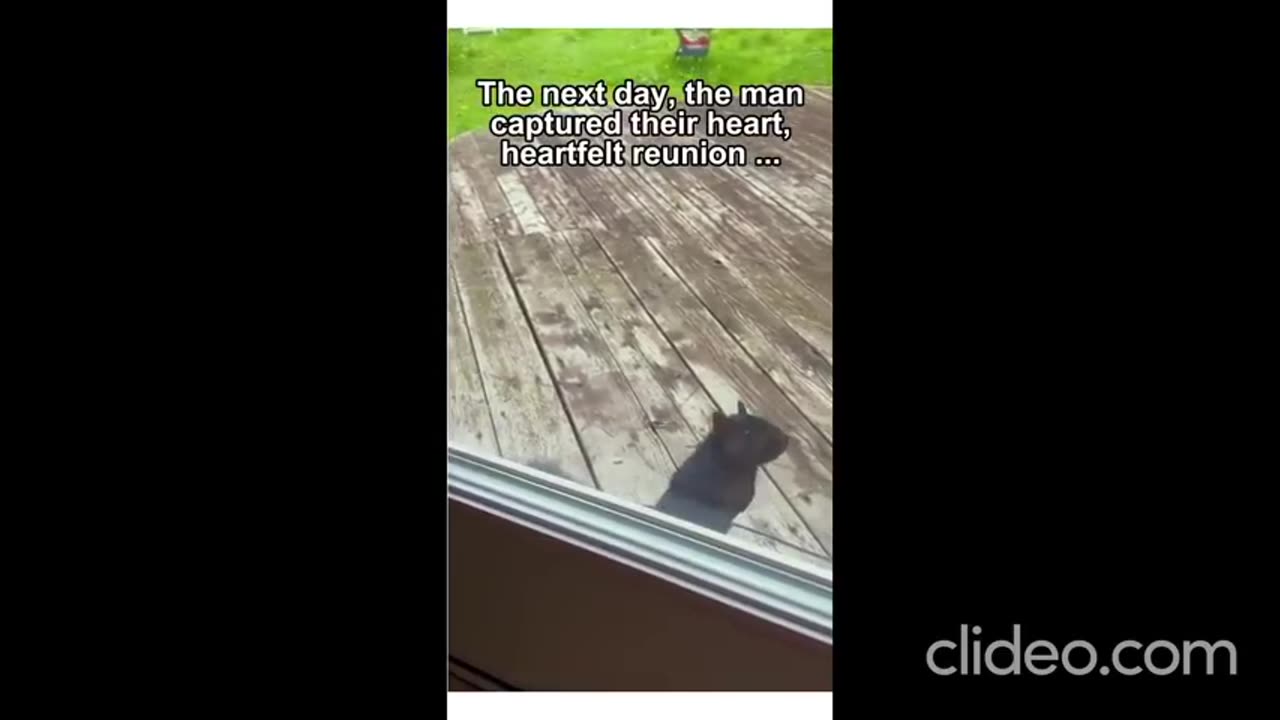 Squrrel Love and Devotion