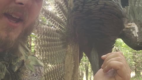 Late season turkey hunting success!