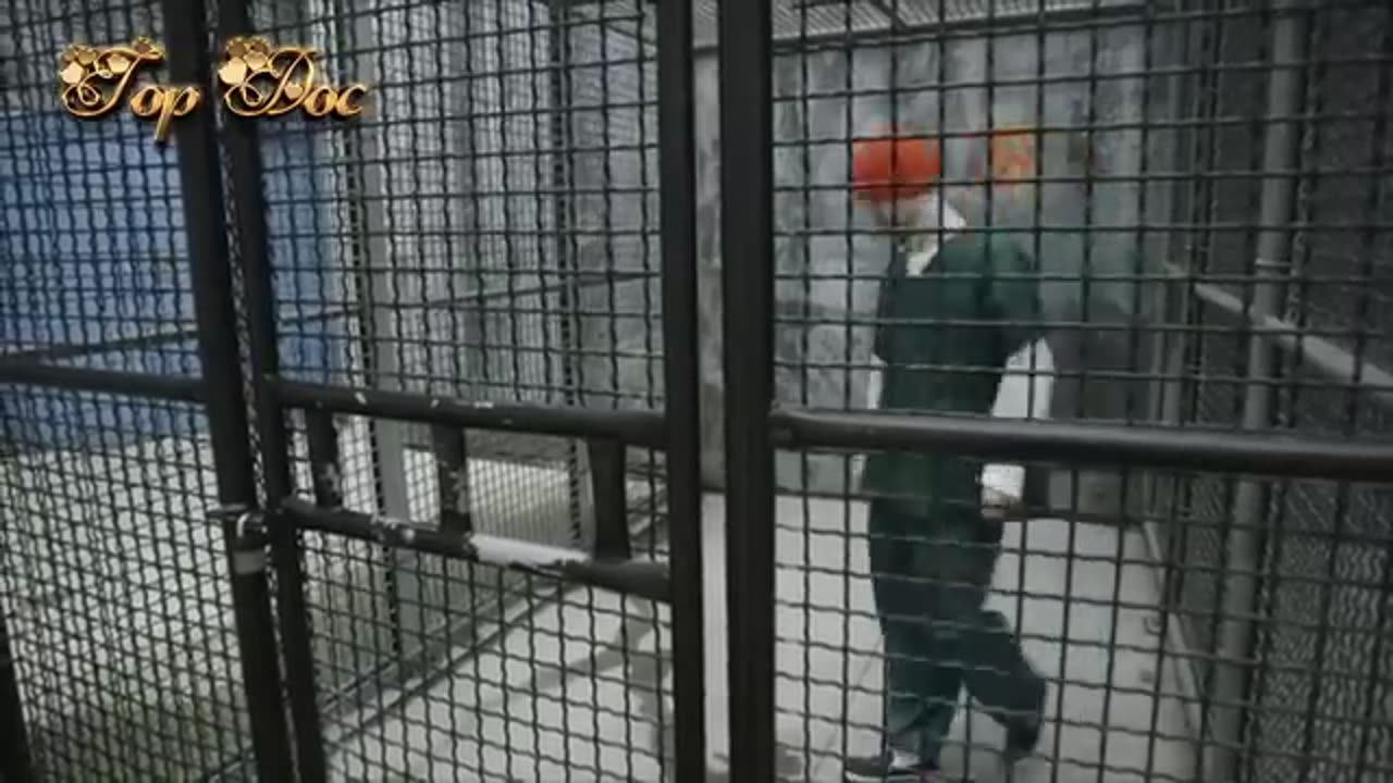 Prison Documentary 2019 - Life In Super Maximum Security Prison (Lock Down) And Solitary Confinement