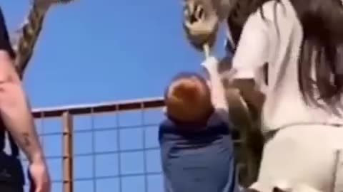 Best Funny animal video 🤣🤣🤣😹🐶😹😹🐶🐶😹
