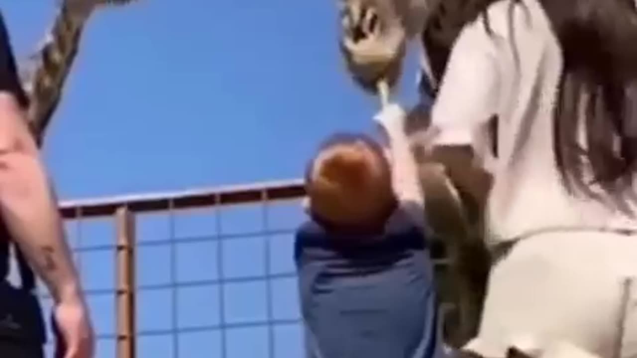 Best Funny animal video 🤣🤣🤣😹🐶😹😹🐶🐶😹