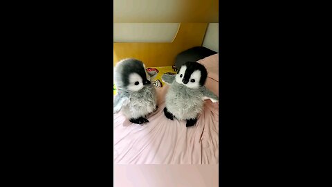 cute penguin 🐧