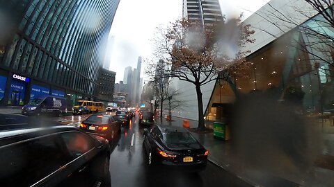 LIONZ TIGERZ & BEARZ