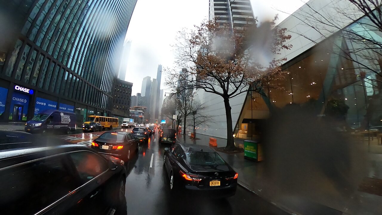 LIONZ TIGERZ & BEARZ