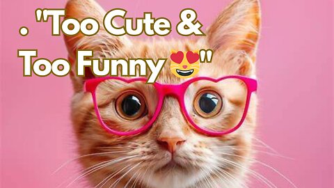"Cats Doing Weird Things 😂 Must Watch!"
