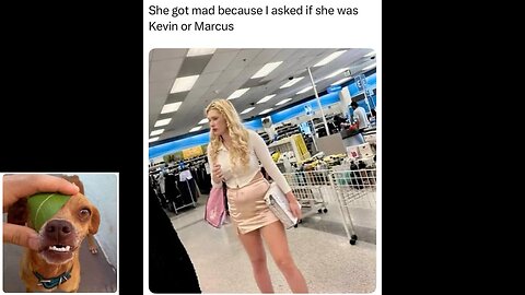 Memes That Will 99.0599% Make You Laugh. (e823)