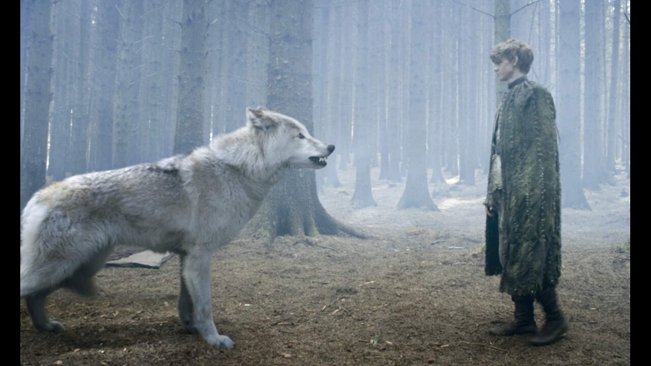 Lunatics Revive Extinct Dire Wolves
