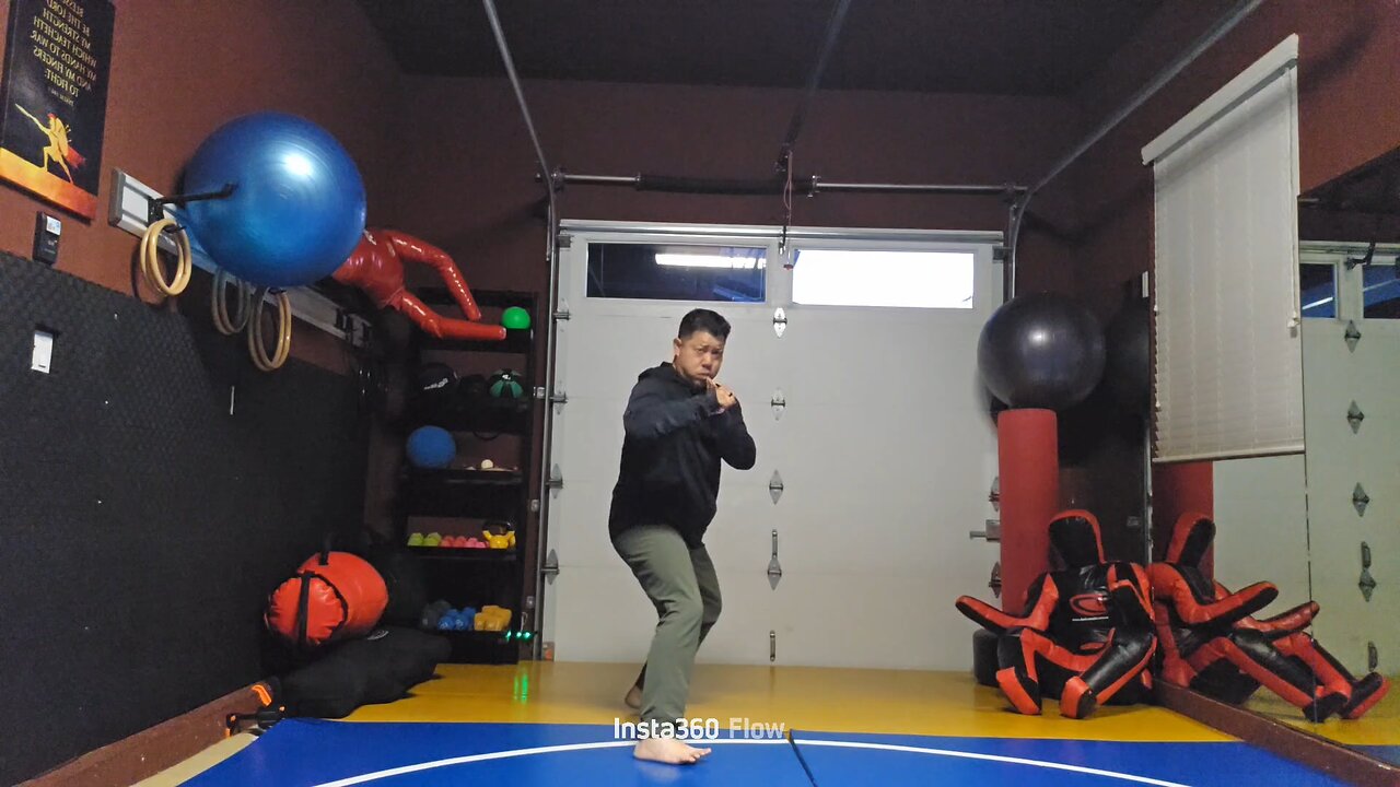 WTD 2 Step Kick Combination 117