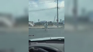 Stupid Idiot Crashes Into Lost Cow