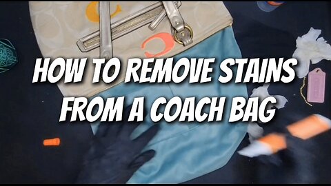 How to Remove Stains from a Coach Handbag | Luxury Handbag Cleaning & Restoration Tutorial