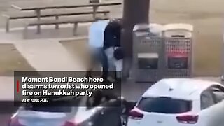 Moment Bondi Beach Hero Disarms Terrorist Who Opened Fire On Hanukkah Party