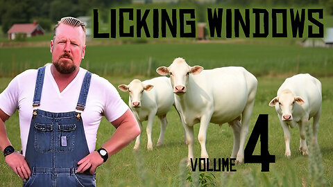 Licking Windows volume 4