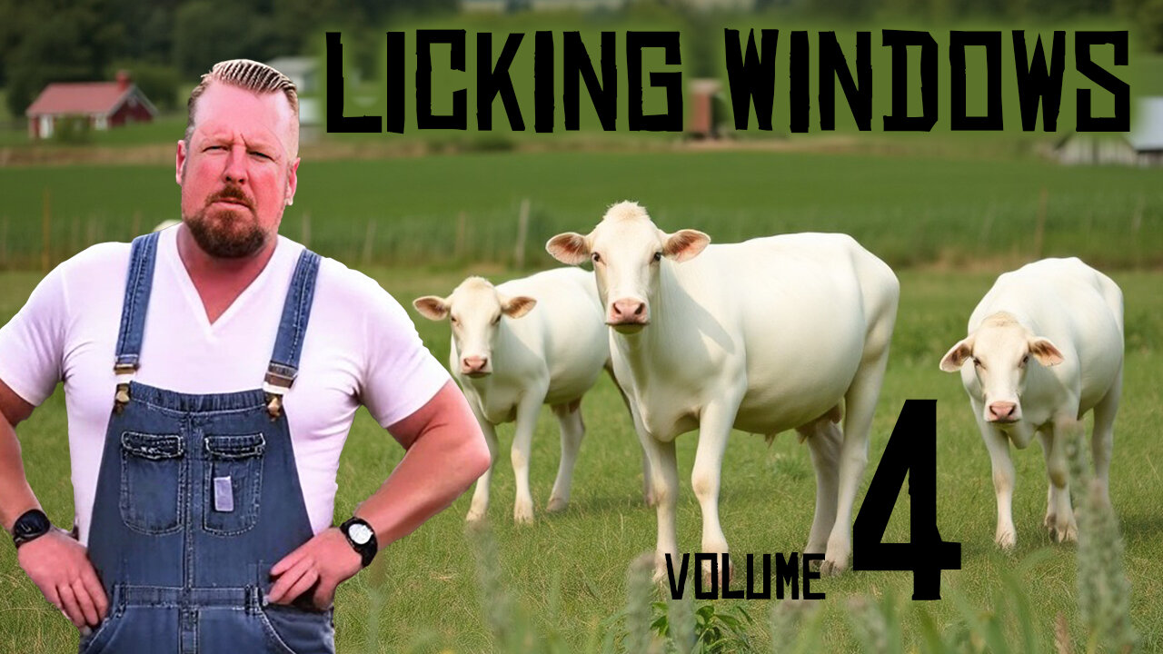 Licking Windows volume 4