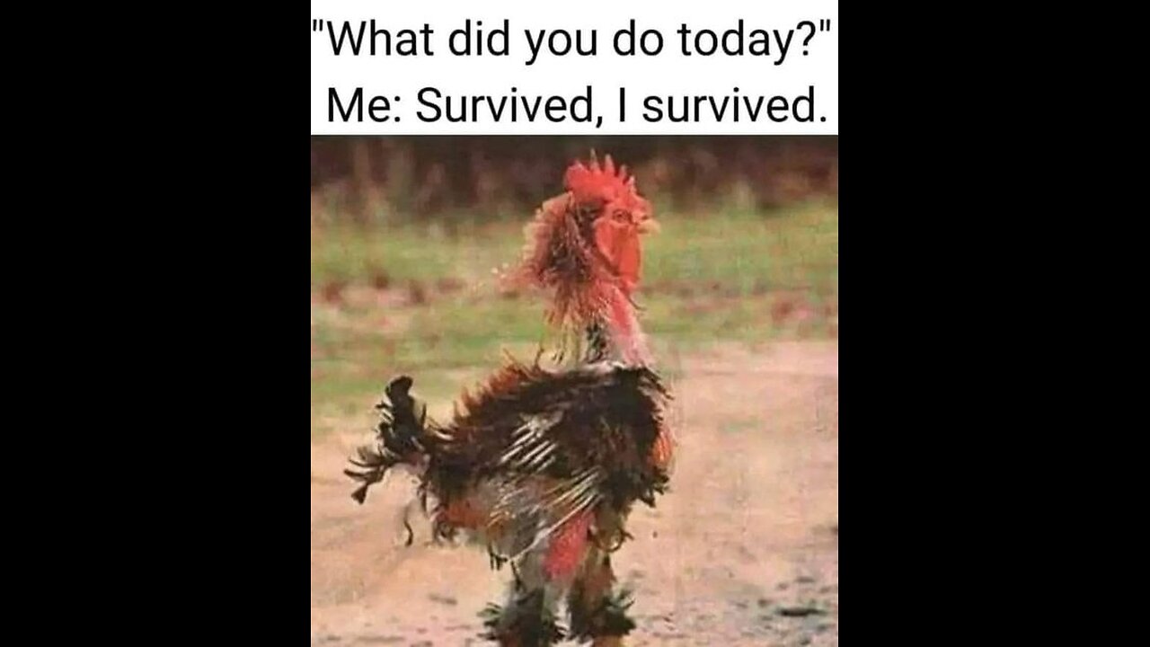 Judy Byington ~ Situation Update 6/26/25 ~ Restored Republic .......