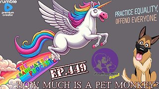 The Grandmas Boy Podcast EP.449-HOW MUCH IS A PET MONKEY?